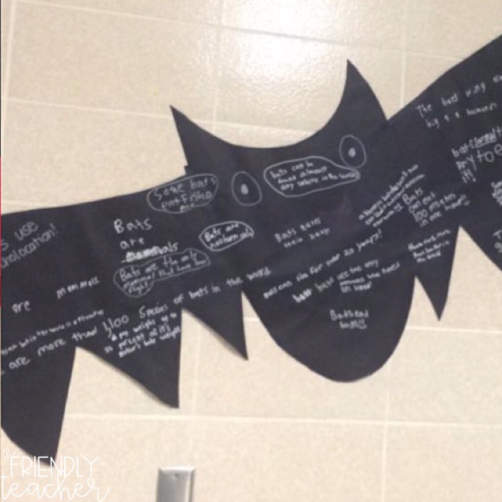 Bat week lesson plans for FREE!